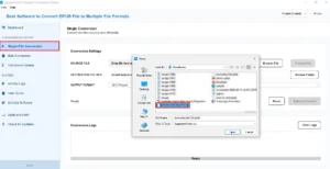 Add Files or Add Folder to import one or multiple EPUB books